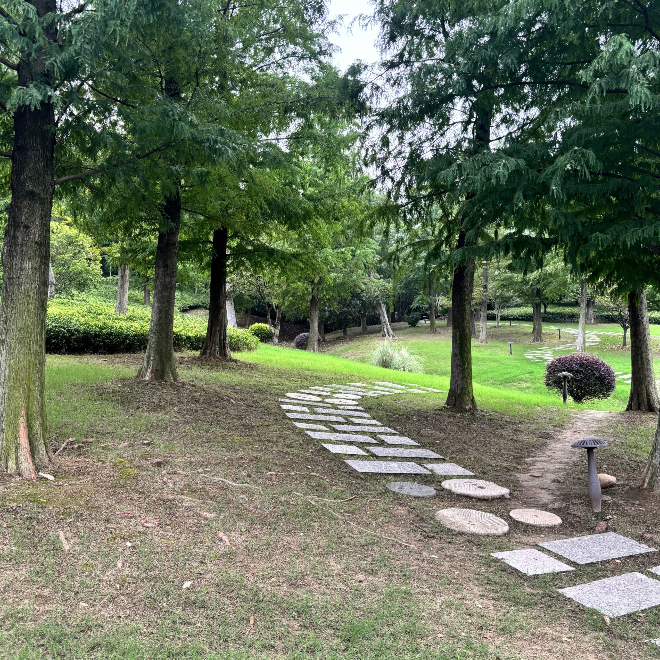 论坛版块分类  官方新品发布渠道-乳味仙-线上下单网站